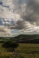 2017_08_08_Auvergne (0079)